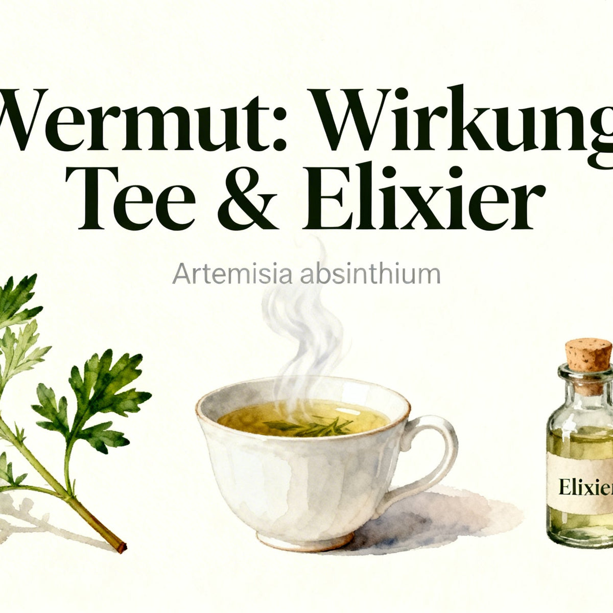 Wermut Wirkung Hildegard Von Bingen