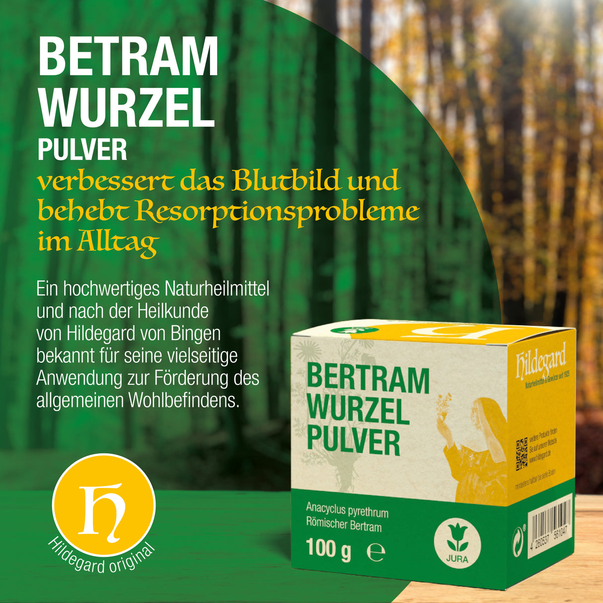 Bertramwurzelpulver