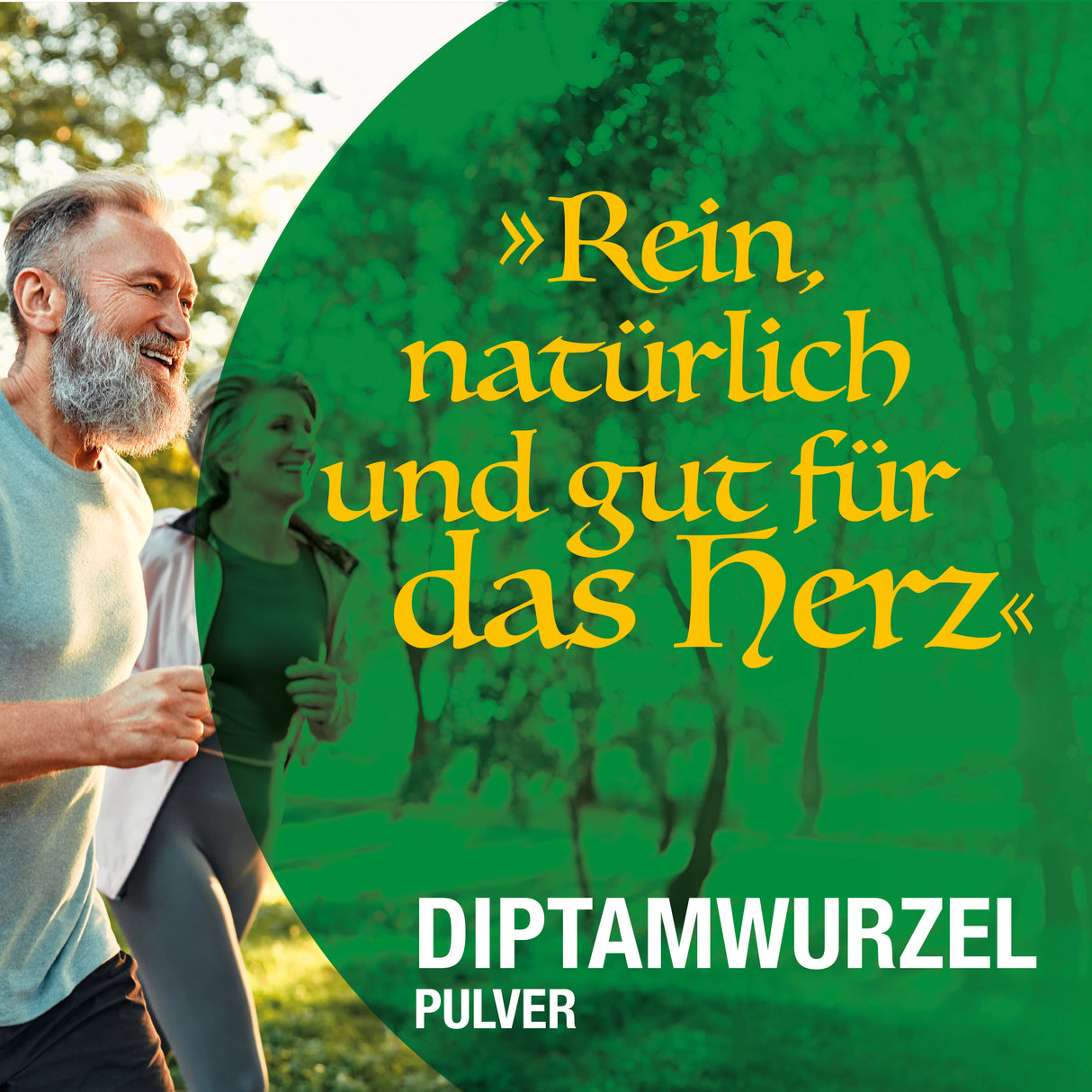 Diptamwurzelpulver