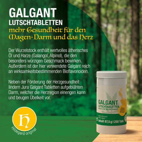 Galgant Lutschtabletten 250 Tabletten