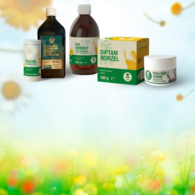 Hildegard_Fruehling_Mobil