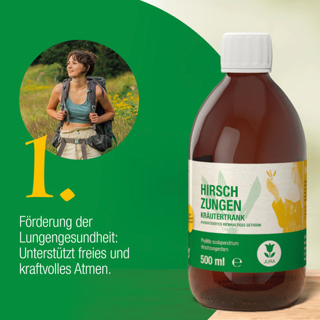 Hirschzungenkräutertrank