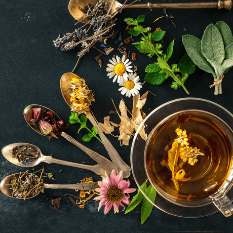 Gesund genießen mit der Hildegard-Küche - So schmeckt Lebensfreude!-JURA Naturheilmittel GmbH