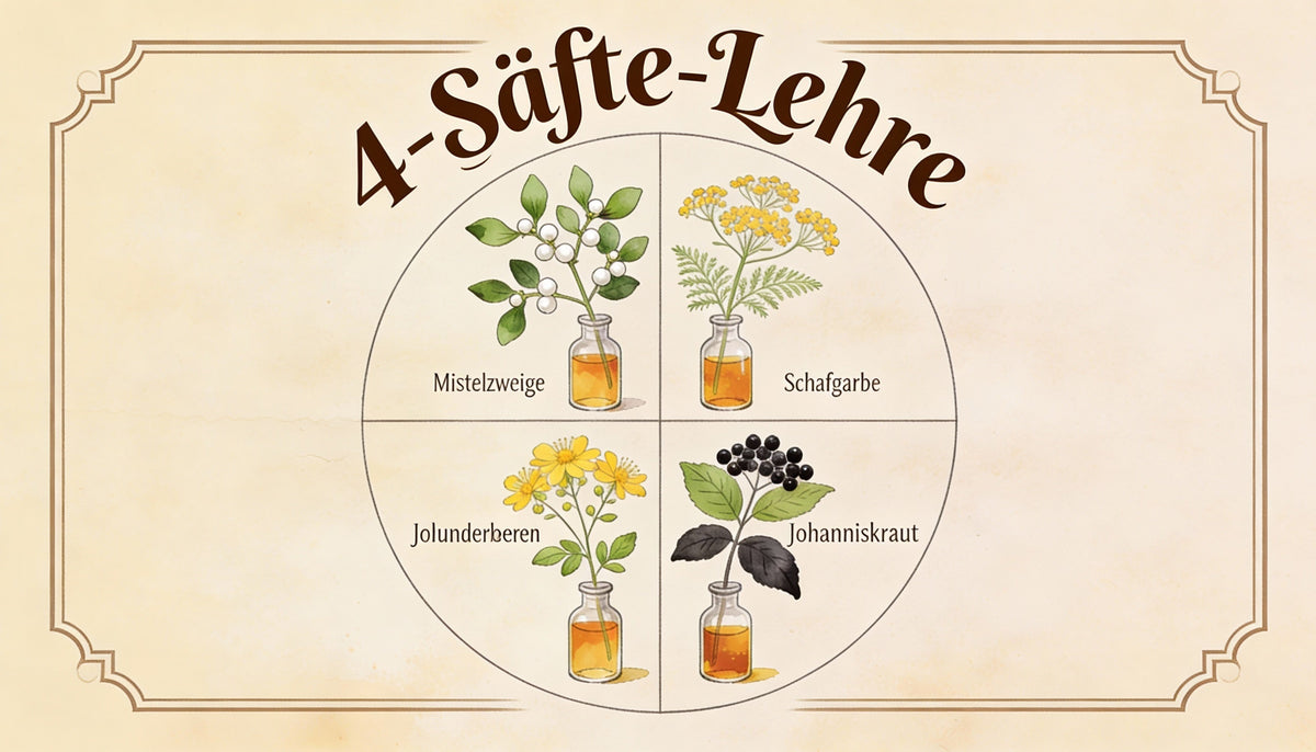 4‑Säfte‑Lehre
