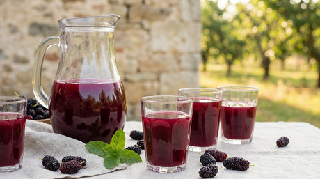 Maulbeersaft – Ein alter Klassiker mit tiefer Farbe