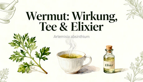 Wermut Wirkung, Tee & Elixier