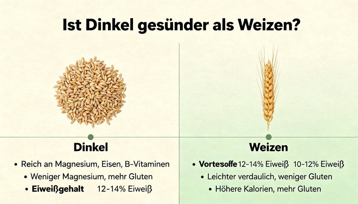 ist dinkel gesünder als weizen