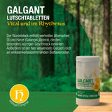 Galgant Lutschtabletten 250