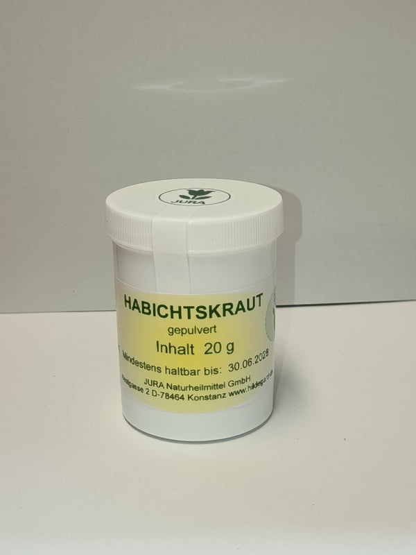 Habichtskrautpulver