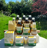 Hildegards Sommerkur - Das Original von Jura-JURA Naturheilmittel GmbH